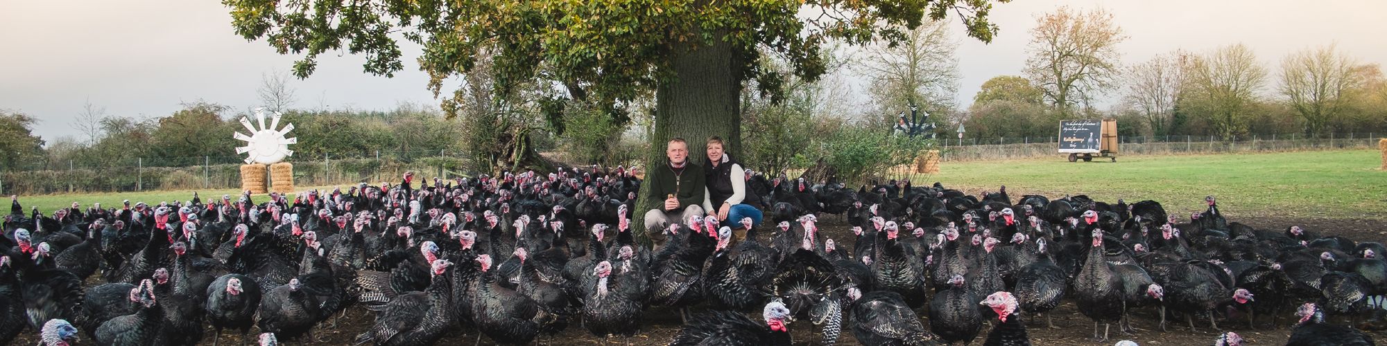 Heart of England Farms - Christmas Turkeys, Cockerels and Geese